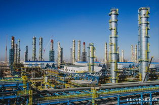 優質企業推薦 寧夏寧東能源化工基地